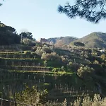 Da Benedetta Vendégház Monterosso al Mare