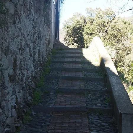 Da Benedetta 蒙特罗索阿尔马雷