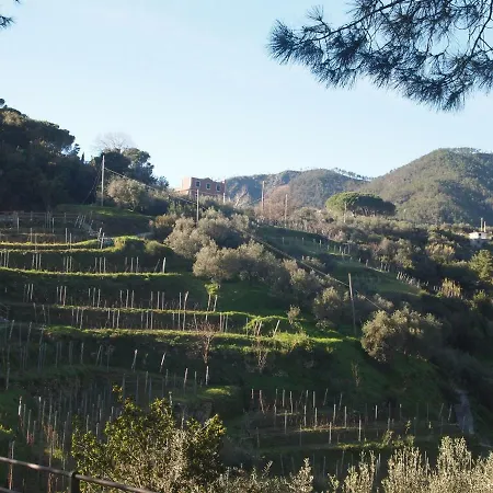 Da Benedetta 招待所 蒙特罗索阿尔马雷