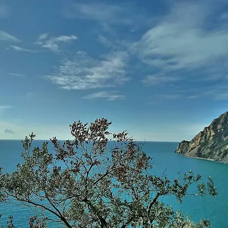 Da Benedetta 招待所 蒙特罗索阿尔马雷