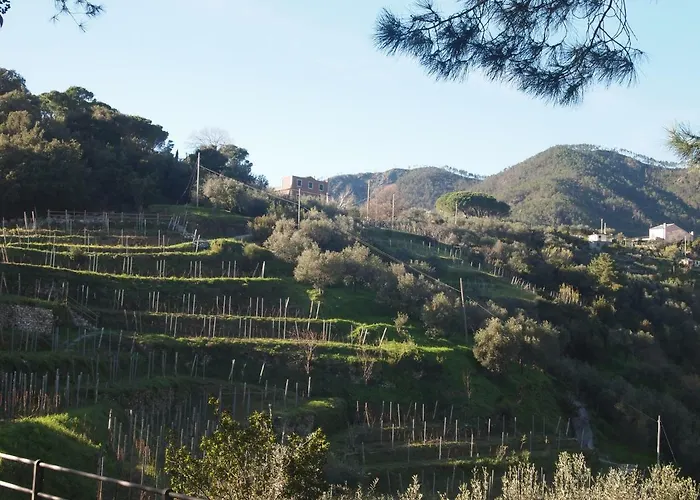 Da Benedetta Penzion Monterosso al Mare